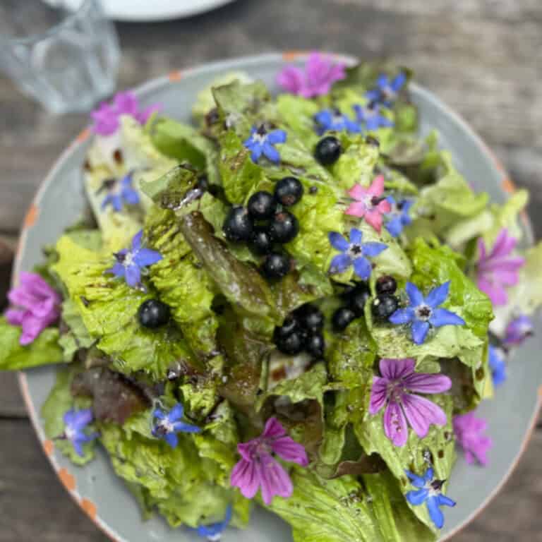 Frisch zubereitete Mahlzeit