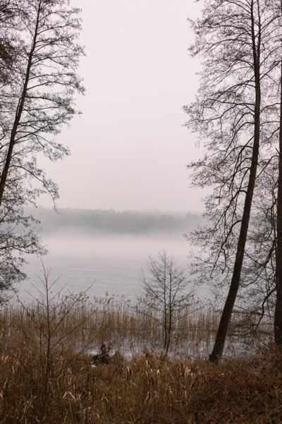 Nebel über dem See