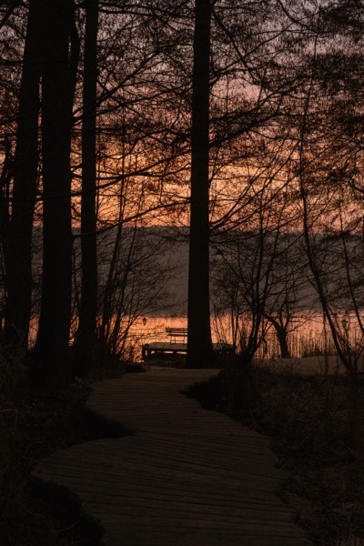 Weg am See im Abendlicht